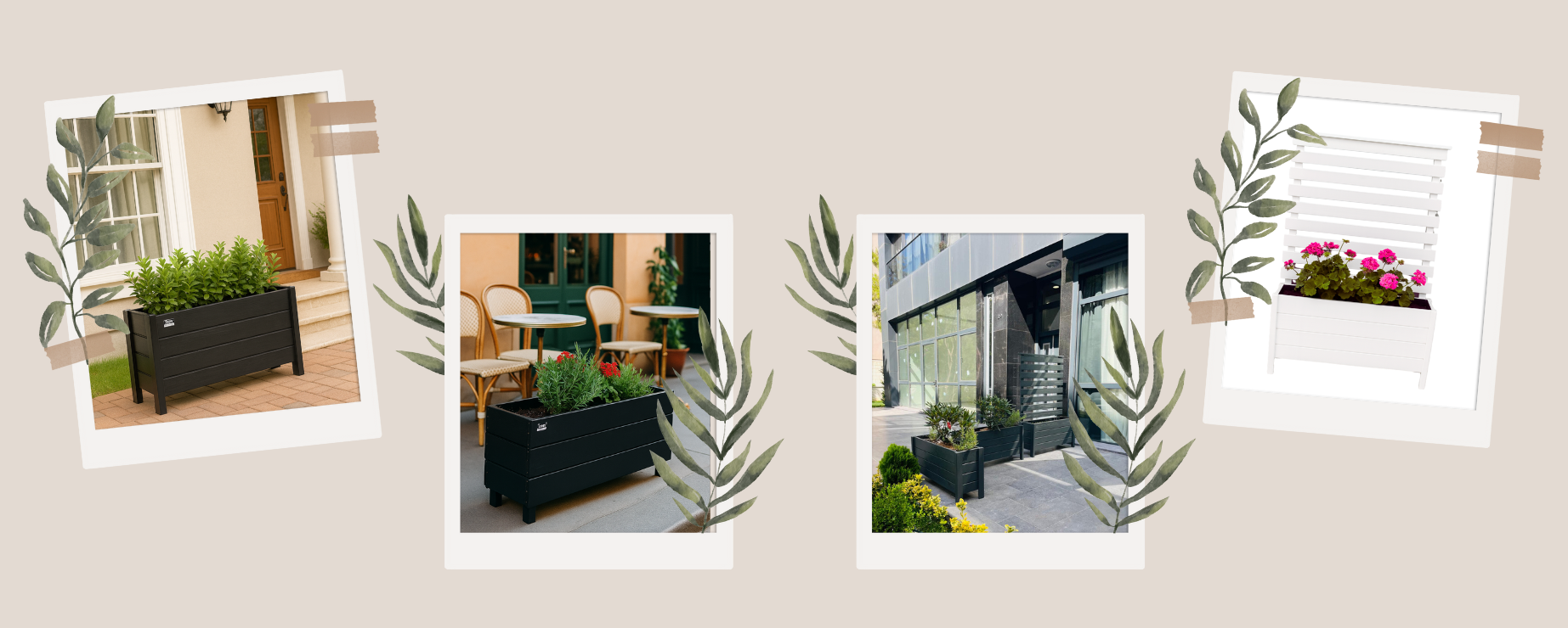 Zarif, Dayanıklı ve Doğal